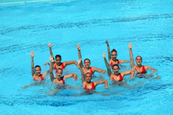 Nata&ccedil;&atilde;o Sincronizada